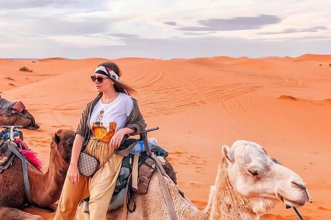 Overnight stay in desert camp & Camel trekking in the Sahara - Day 1: Riad Akabar tea, camel setup, and the sunset climb