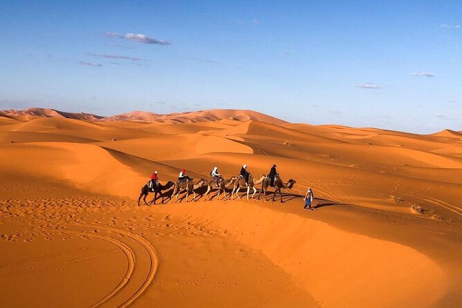 Overnight stay in desert camp & Camel trekking in the Sahara - Who this overnight camel trek is best for