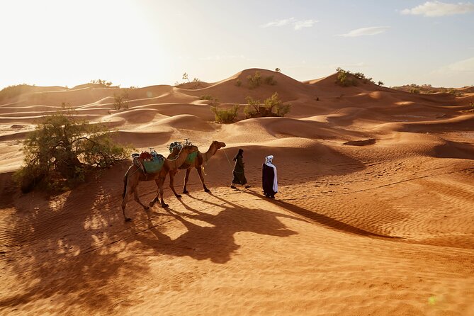 Overnight Tour From Fes to Sahara Desert - Sunset Camel Trek and Berber Encampment: Where the Trip Becomes Real