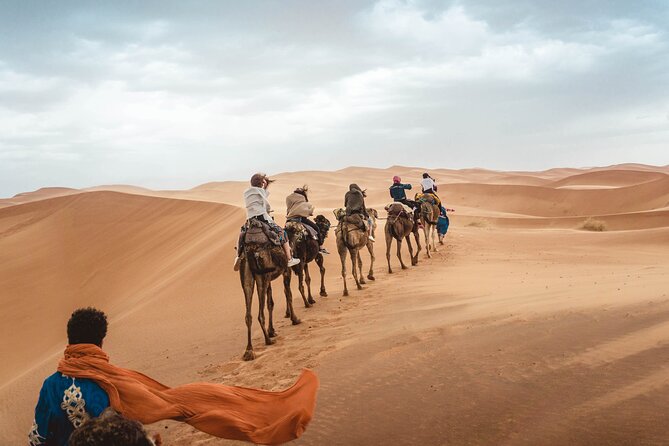 Overnight Tour From Fes to Sahara Desert - Day Two: Sunrise on the Dunes, Breakfast, Then Back to Fes