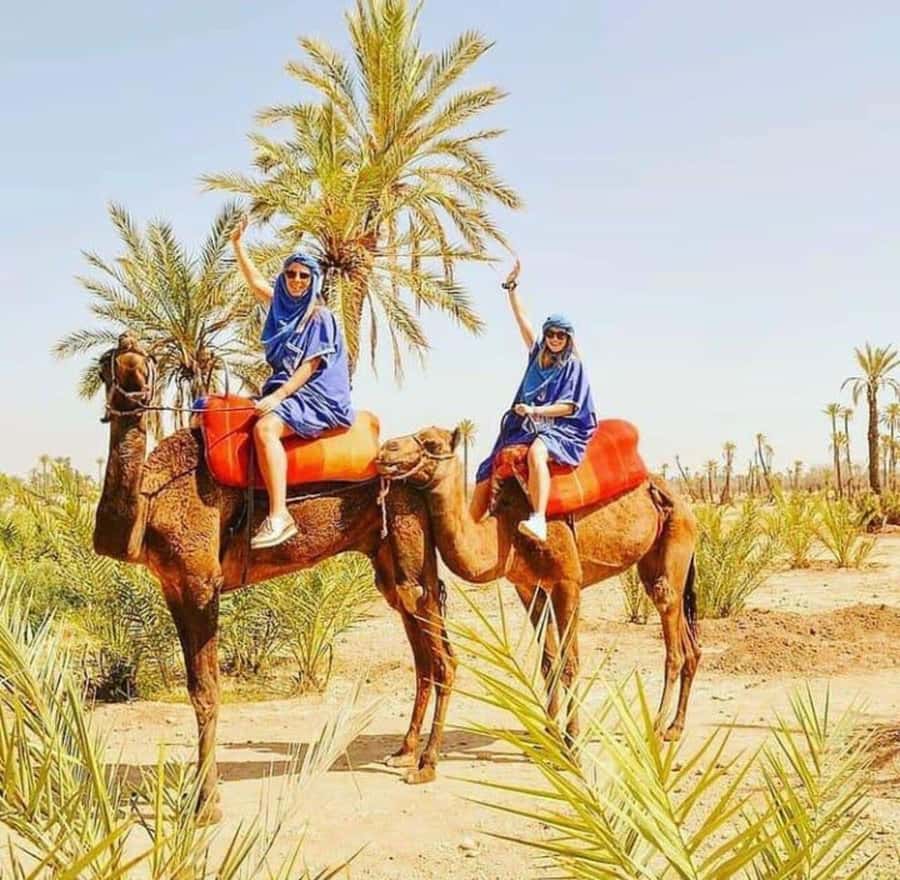 Palmeraie Marrakech Camel Ride & Quad Bike Package Exprience - Key things to know before you go
