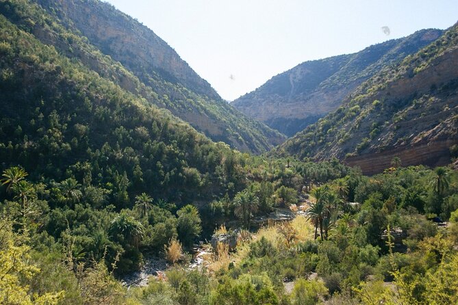 Paradise Valley Agadir Day Trip - Optional drink stops in Paradise Valley: small bars and shade