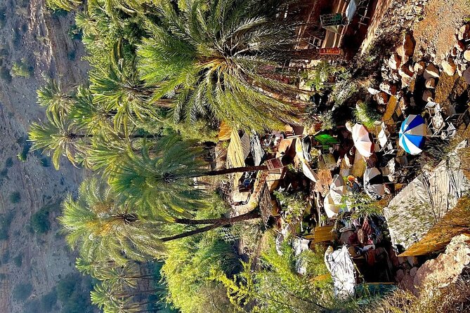 Paradise Valley Agadir Day Trip - What to bring so you enjoy the hike and water time
