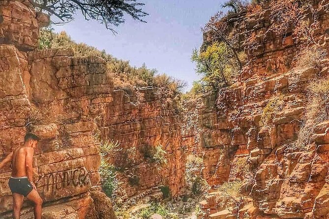 Paradise valley agadir half day tour - Paradise Valley: Green Valley Water, Pools, and Photo Opportunities
