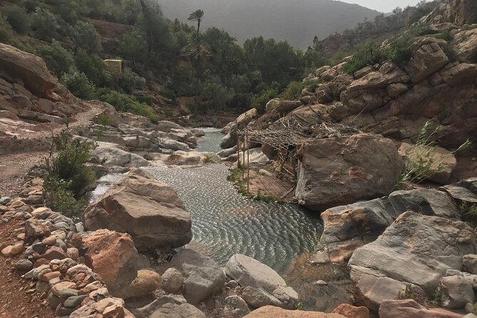 Paradise valley agadir half day tour - The Tea Ceremony Included: A Small Cultural Pause