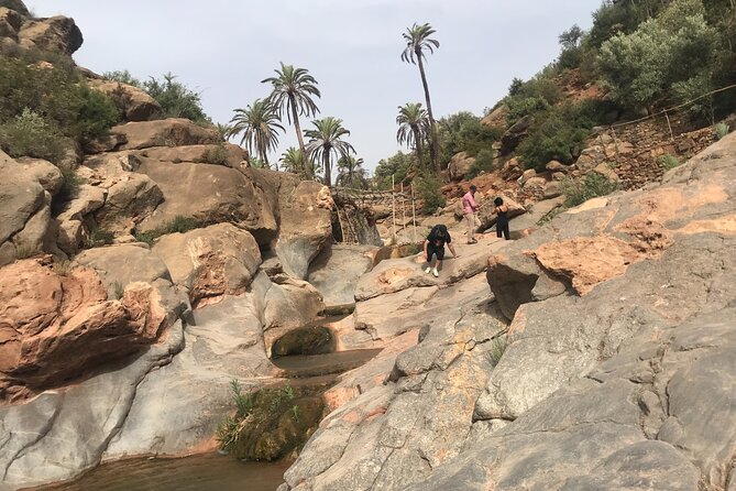 Paradise valley agadir half day tour - Price and Value: Is $40.67 Worth It?