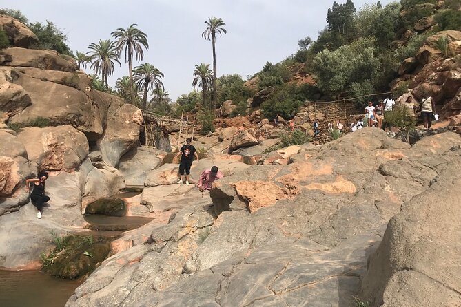 Paradise valley agadir half day tour - Best Ride Tours: What the Reviews Suggest About the Day