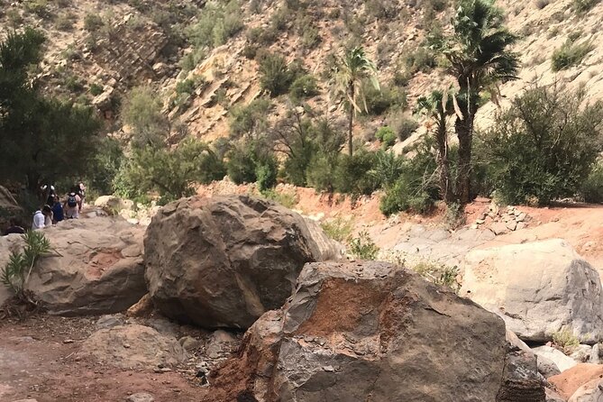 Paradise valley agadir half day tour - Who This Tour Fits Best (and Who Might Skip It)