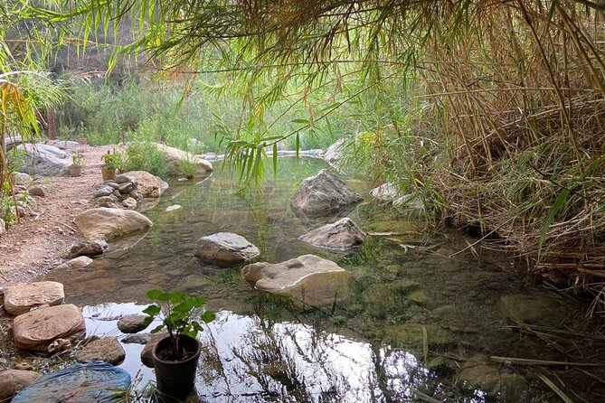 Paradise Valley and Atlas Mountains Adventure in Agadir - Mint Tea, Honey, and the Botanical Garden Stop