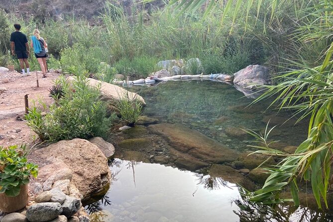 Paradise Valley and Atlas Mountains Adventure in Agadir - The Guide Matters: Why Mohamed Is Mentioned So Often