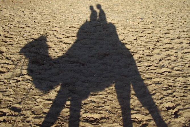 Paradise Valley and Camel Ride at Sunset Pass - Paradise Valley Pools North Of Agadir: Why Morning Matters