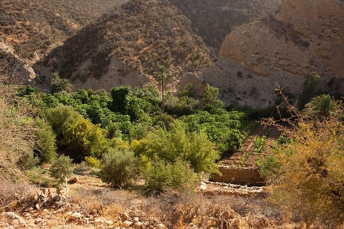 Paradise Valley and Camel Ride at Sunset Pass - Price and Value: Is $74.22 Worth It?