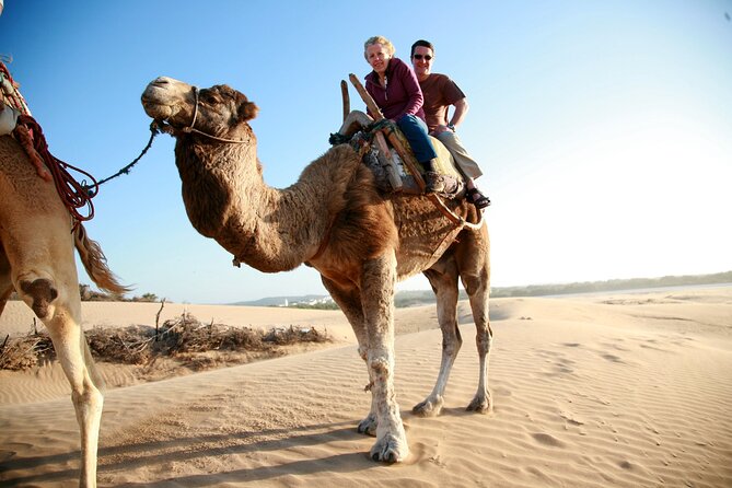 Paradise Valley and Camel Ride at Sunset Pass - Photo Stops at a National Park: The Picture Break You’ll Appreciate