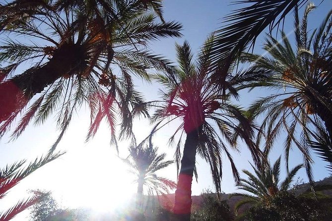 Paradise Valley - Atlas Mountain - Agadir to Paradise Valley: the road trip that frames the whole day