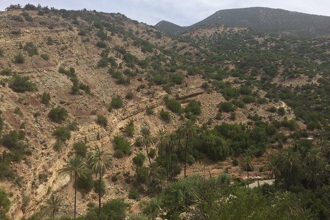 Paradise Valley - Atlas Mountain - Price and value for $36.14: what you’re really paying for