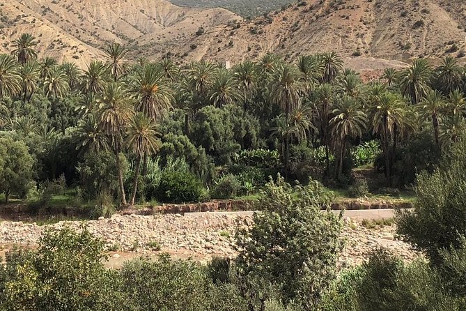 Paradise Valley - Atlas Mountain - Who should book this tour (and who might skip it)
