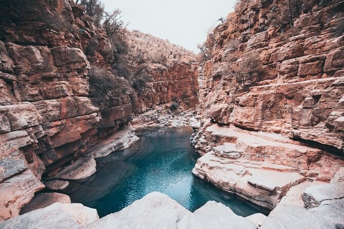 Paradise Valley & Atlas Mountains Adventure with optional LUNCH - Key things to know before you go