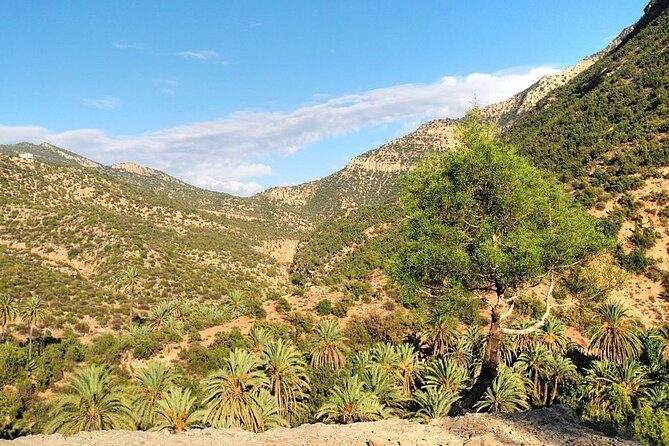 Paradise Valley & Atlas Mountains Adventure with optional LUNCH - Scenic Drive Time: Agadir Promenade, Taghazout Beach, and View Stops