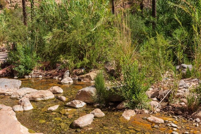 Paradise Valley & Atlas Mountains Adventure with optional LUNCH - Botanic Garden Stop: A Useful Break and Local Learning