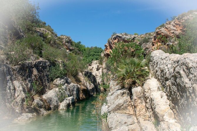 Paradise Valley & Atlas Mountains Adventure with optional LUNCH - Group Size and Vibe: What a Max of 50 Means for Your Day