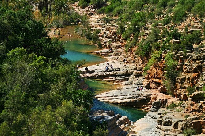Paradise Valley day trip from Agadir - Agadir Botanic Garden: argan trees and native plants in a calm 30 minutes