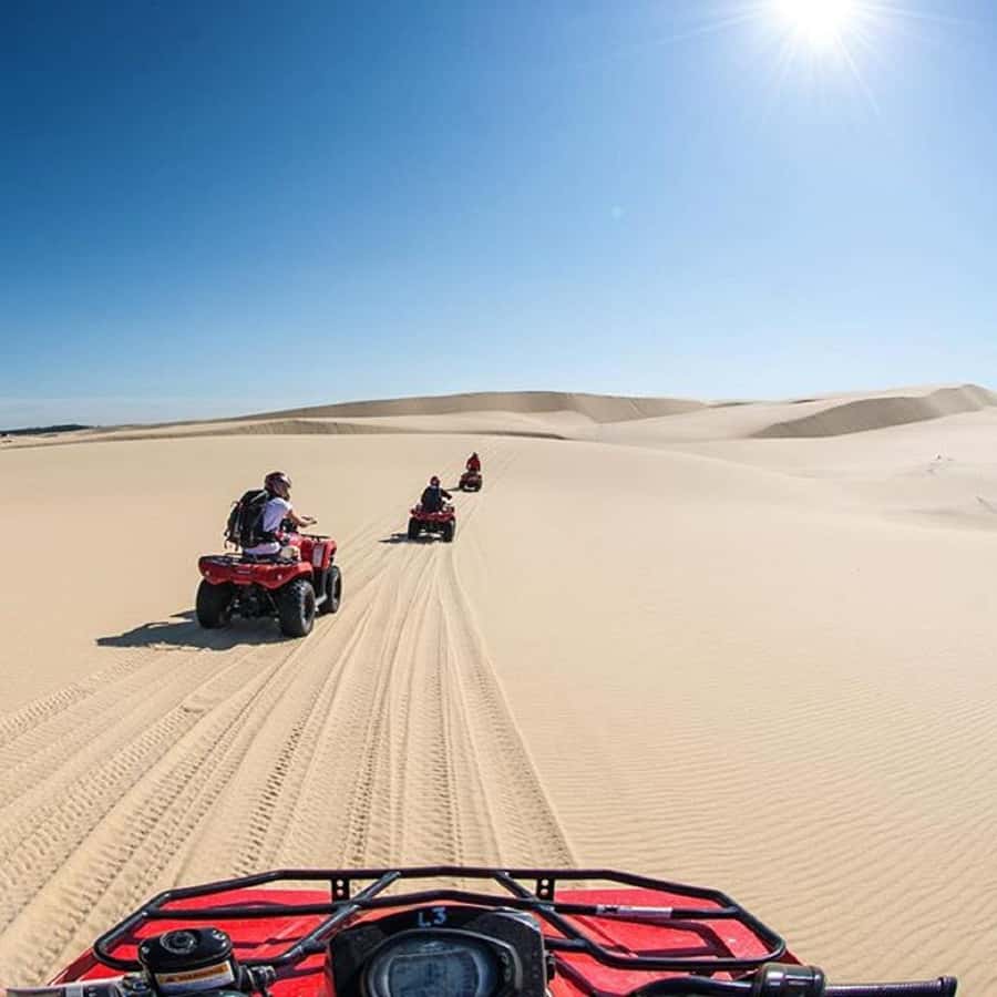 Paradise Valley & Desert Dunes with Camel Ride and quad bike - Camel Ride Across the Dunes: Slow Down, Look Around