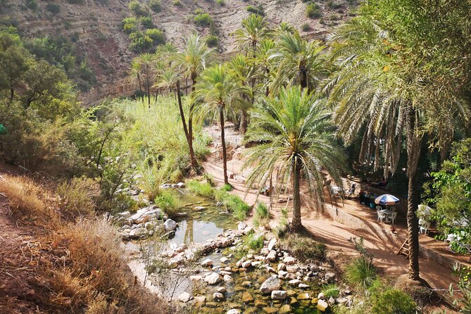 Paradise Valley Half day Experience - A half-day Paradise Valley plan that actually fits your schedule