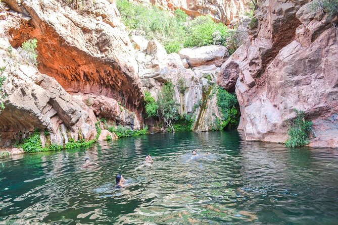 Paradise Valley Half day Experience - Getting started: 8:30 pickup and comfortable, air-conditioned travel