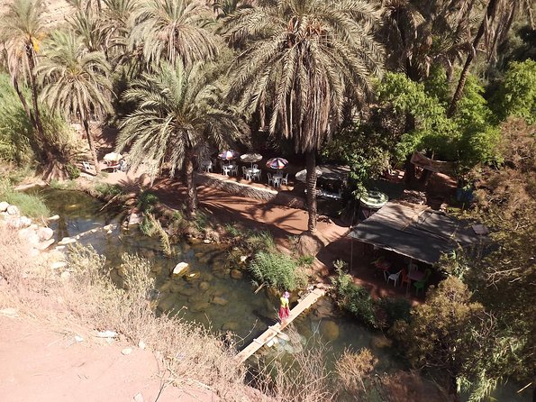 Paradise valley half day from Agadir - Tamzargout oasis photo stop: quick views, easy momentum