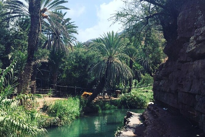 Paradise Valley & The Old Taghazout village Private Tour - The drive that turns it into more than a quick valley stop