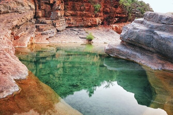Paradise Valley & The Old Taghazout village Private Tour - Why the road of honey (and argan-style visits) can be worth your time