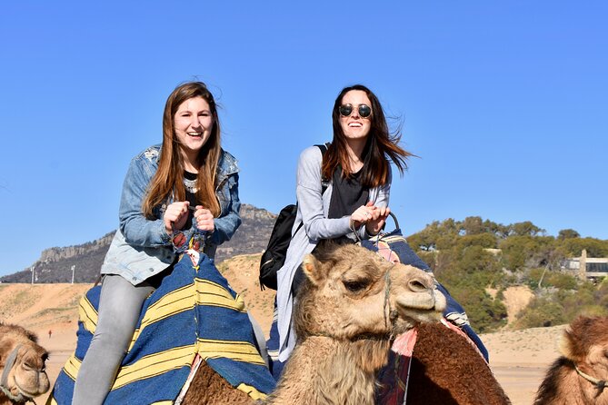 Port Pick Up: Tangier All-inclusive Small Group Tour - Key Takeaways Before You Go