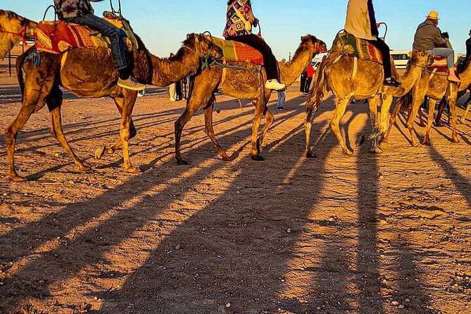 Premium Agafay Desert: Camel, Quad, Dinner & Fire Show - Marrakech pickup and the ride out: comfort matters