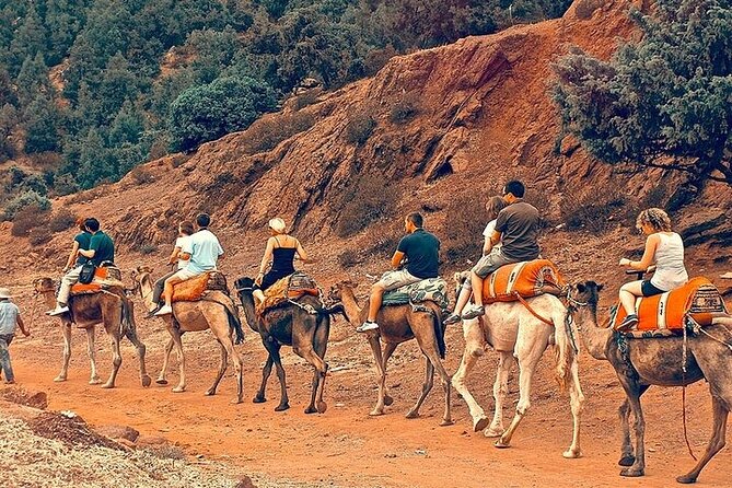 Premium Atlas Mountains & Berber Village Day Trip with Camel Ride - From Marrakech pickup to the High Atlas drive: plan for the ride