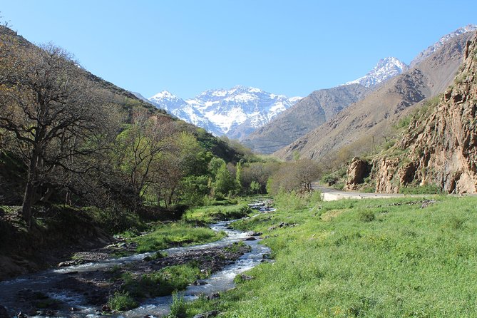 Premium Atlas Mountains & Berber Village Day Trip with Camel Ride - Small group pacing: why max ten people matters