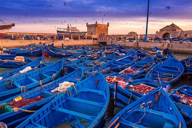 Premium Surf Trip to Essaouira from Marrakesh - Essaouira is a surf town that doesn’t rush you