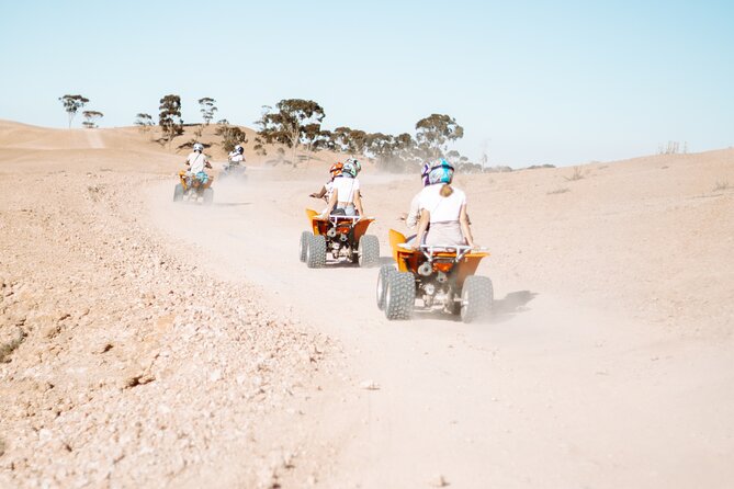 Privat Day Trip Agafay Desert - Dinner at La Dune with live music: the evening payoff