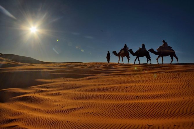 Private 2 Days Desert Tour from Fes with Overnight in Luxury Desert Camp - Ifrane National Park: A Swiss-Style Town in Morocco