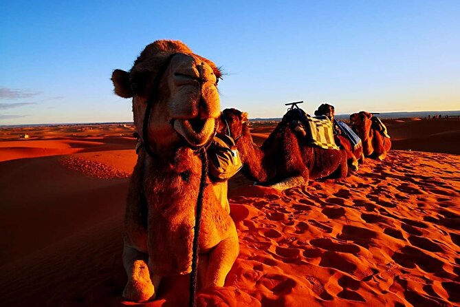 Private 3 Day Luxury Desert Tour from Fez to Marrakech - Comfort and logistics: the little things that matter on long drives