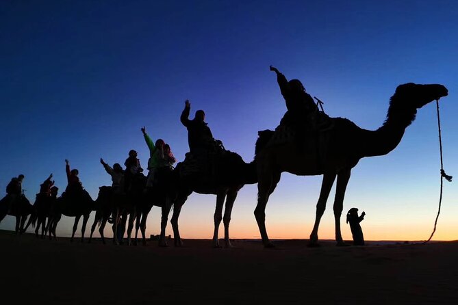 Private 3 Day Luxury Desert Tour from Fez to Marrakech - Who this private desert tour is best for