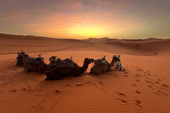 Private 3 Days Desert Tour from Marrakech to Merzouga - Guide quality: why the names keep coming up
