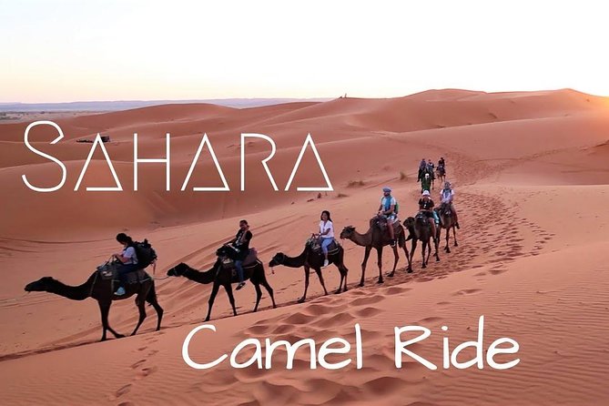 Private 3-Days Desert Trip From Marrakech to Merzouga - Desert camp and camel ride: comfort, food, and what to expect