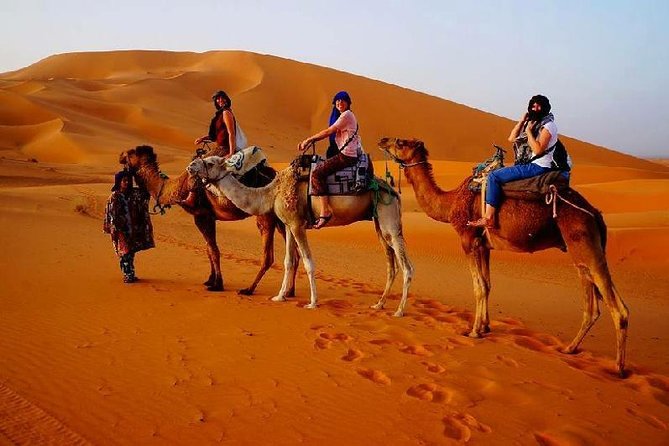 Private 3 Days Marrakech Desert Tour To Merzouga With Luxury Accommodations - Day 3: the long drive back to Marrakech by about 7pm