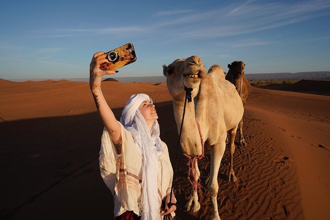 Private 4-day Moroccan Sahara Discovery Tour from Marrakech - Price and What You Really Get for $696.78