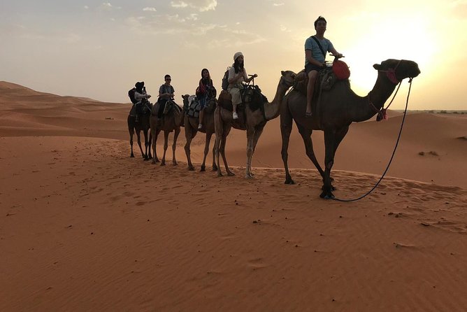 Private 4 Days Desert Tour from Fes to Marrakech - Day 4: Skoura palms, Rose Valley photos, Ouarzazate, Ait Ben Haddou, and into Marrakech
