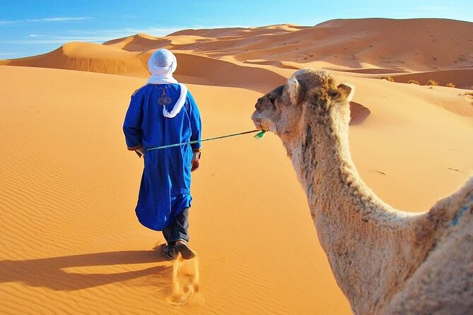 Private 4 Days Desert Tour from Marrakech to Fes - Key Things That Make This Tour Worth It