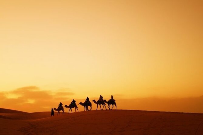 Private 4 Days Desert Tour from Marrakech to Fes - Desert Day (Day 3): Camel Trek, Nomad Life, Khamliya Village, and Berber Pizza