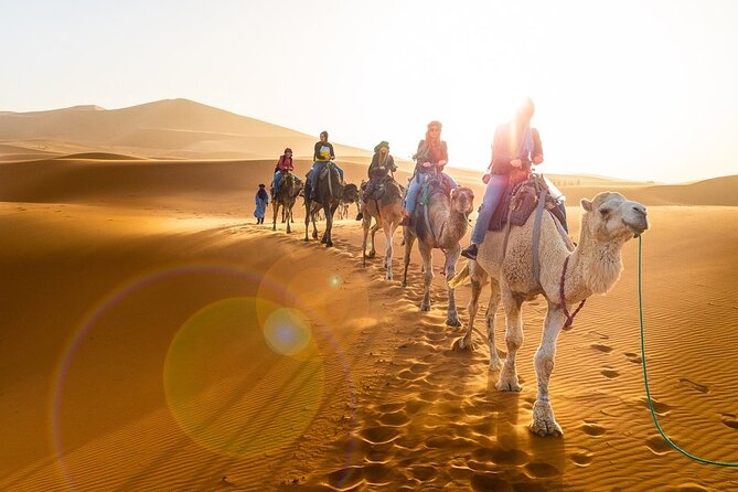 Private 4 Days Desert Tour from Marrakech to Fes - Morning Start: How Day 1 Sets the Tone (Marrakech, Tizi n’Tichka, Ait Ben Haddou, Dades)