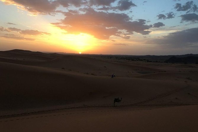 Private 4 Days Tour From Marrakech To Fes Via Erg Chebbi Desert - A Quick Reality Check on This Marrakech to Fes Desert Circuit