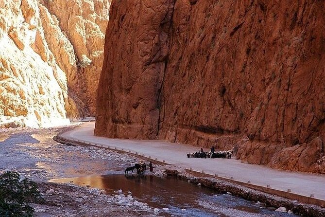 Private 4 Days Tour From Marrakech To Fes Via Erg Chebbi Desert - Day 3: Gnawa Music in Khamlia, Nomads’ Tea, and the Camel-to-Dunes Evening